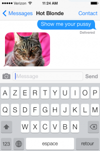 sexting-with-cat