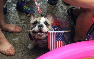 blog7